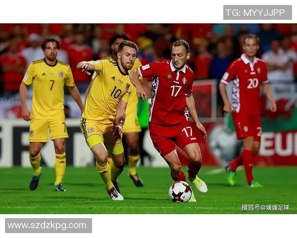 欧洲杯：奥地利逆转北马其顿获胜晋级