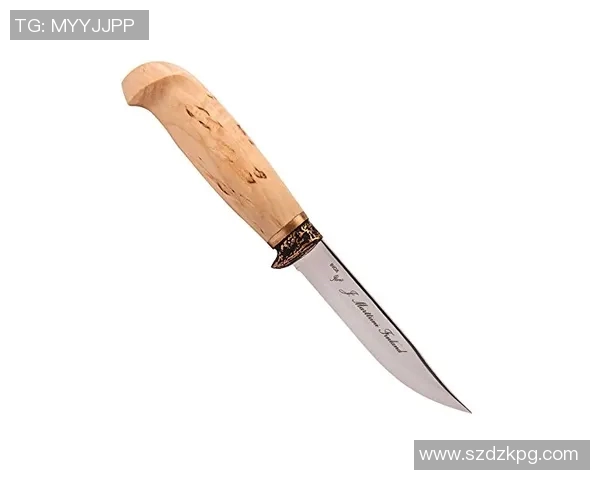 提升野外生存能力的防身装备推荐与使用技巧分享