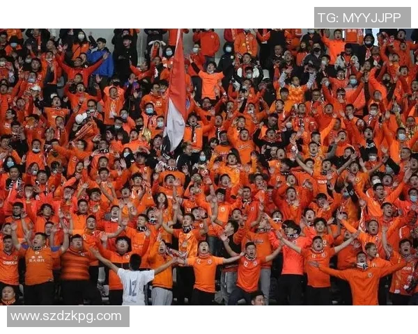 魔术队与篮网队激战正酣精彩对决引发球迷热议